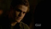 Photos Stefan Salvatore