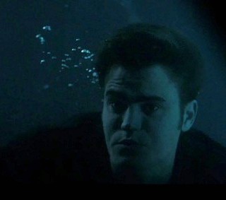 EV TVD Sunshine