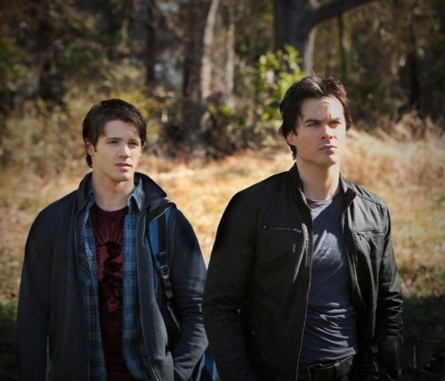 EV TVD Sunshine